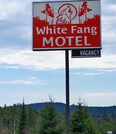 White Fang Motel Wawa Luaran gambar